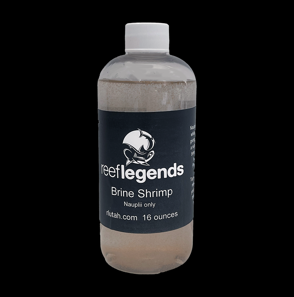 Live Brine Shrimp Reef Legends live-brine-shrimp-reef-legends