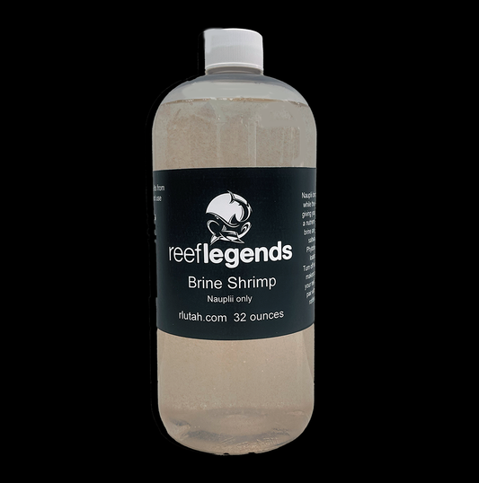 Live brine shrimp