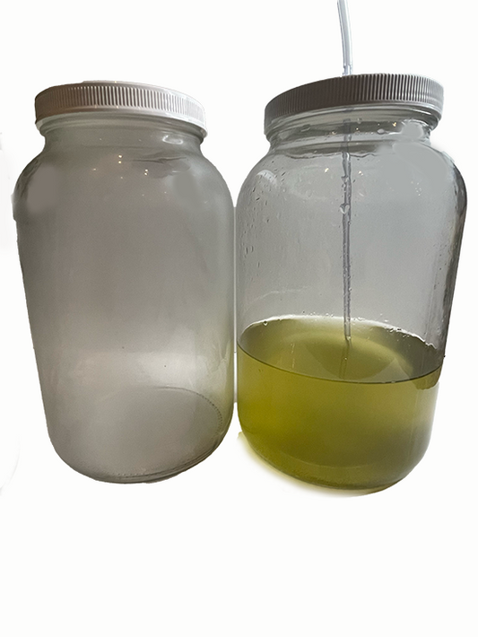 Pod Culturing Kit