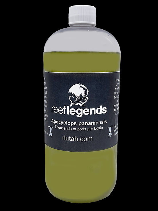 Apocyclops panamensis