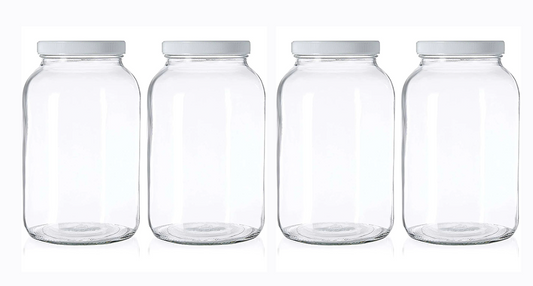 4 Jar Phytoplankton Culturing Kit