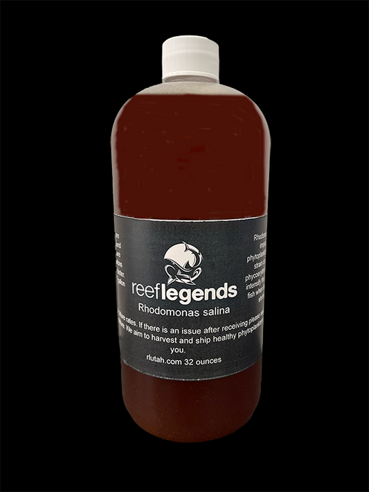 Rhodomonas salina for culturing