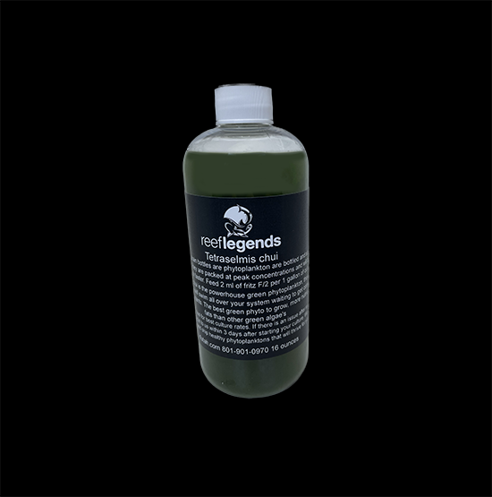 Tetraselmis chui for culturing