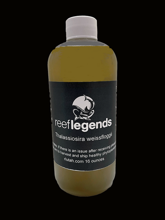 Thalassiosira weissfloggii