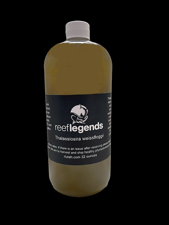 Thalassiosira weissfloggii