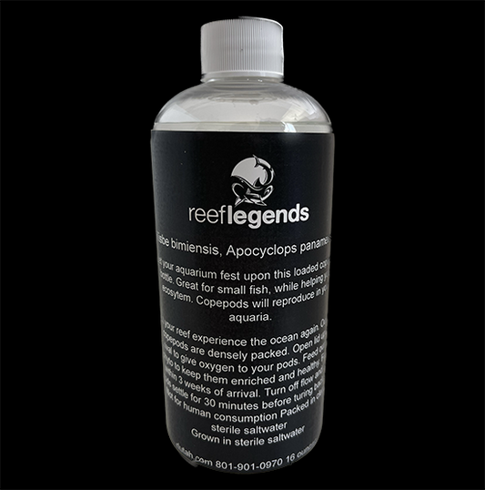 Tisbe biminiensis copepods