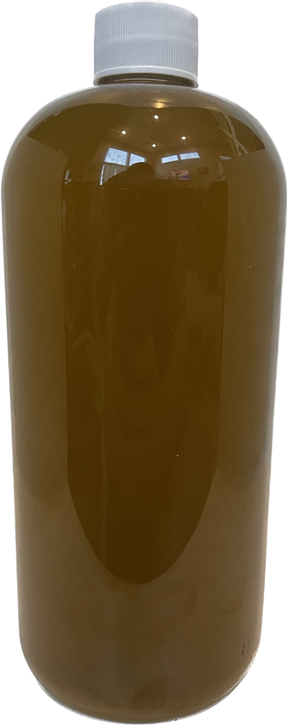 Chaetoceros calcitrans for culture