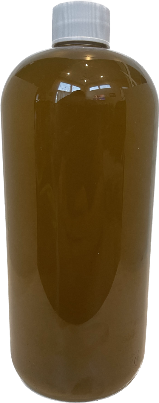 Chaetoceros calcitrans for culture