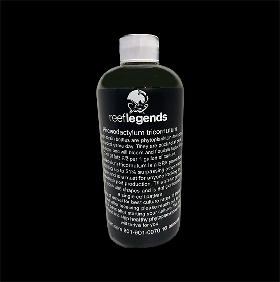 Pheaodactylum tricornutum for culturing