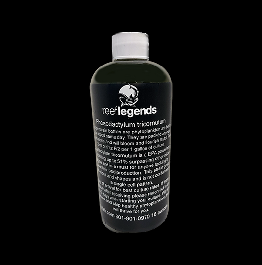 Pheaodactylum tricornutum for culturing