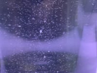 12 Species Phytoblend & 2 Podblend