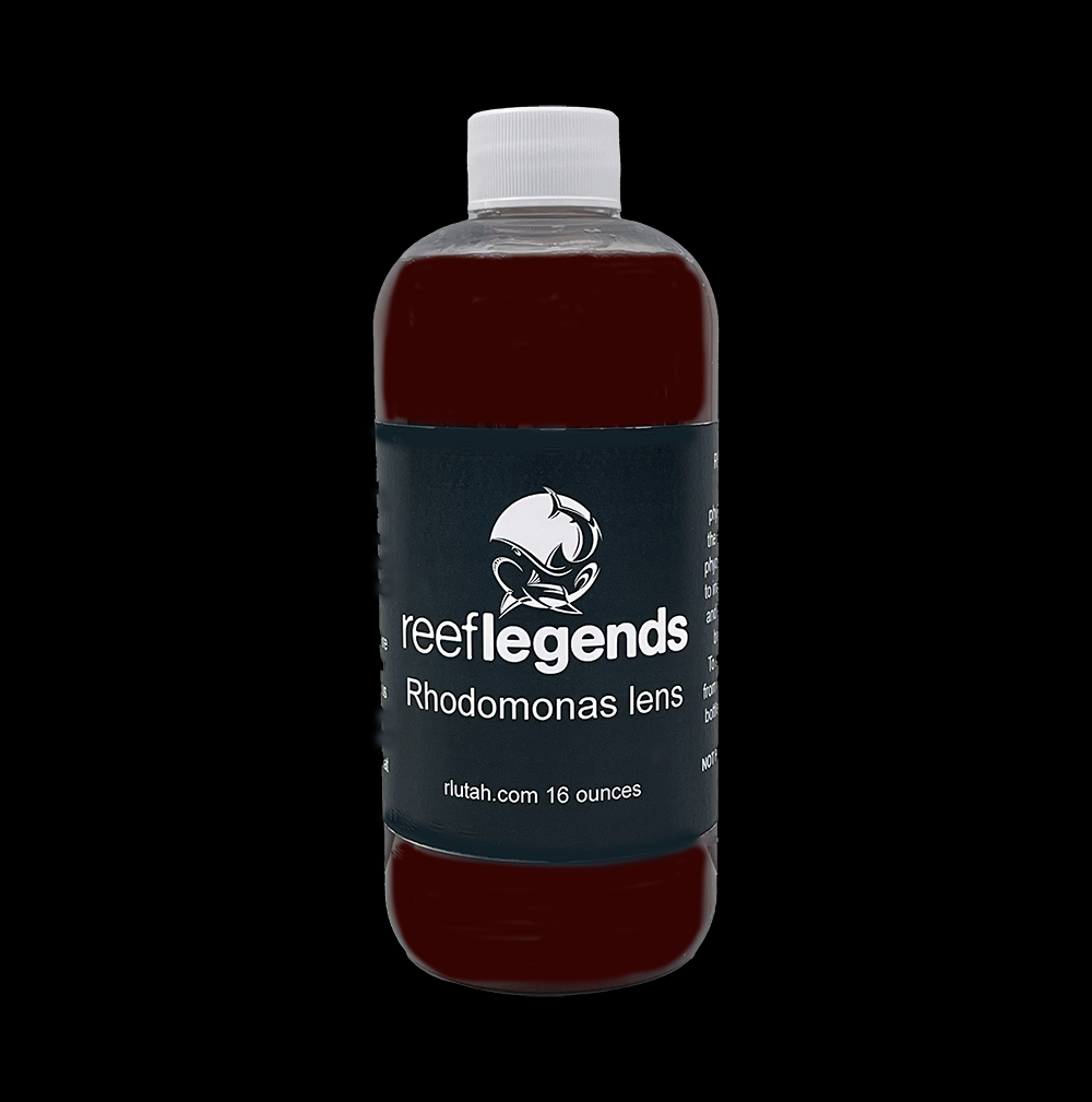 Rhodomonas lens for culturing
