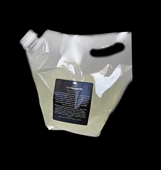 Live Marine Rotifers