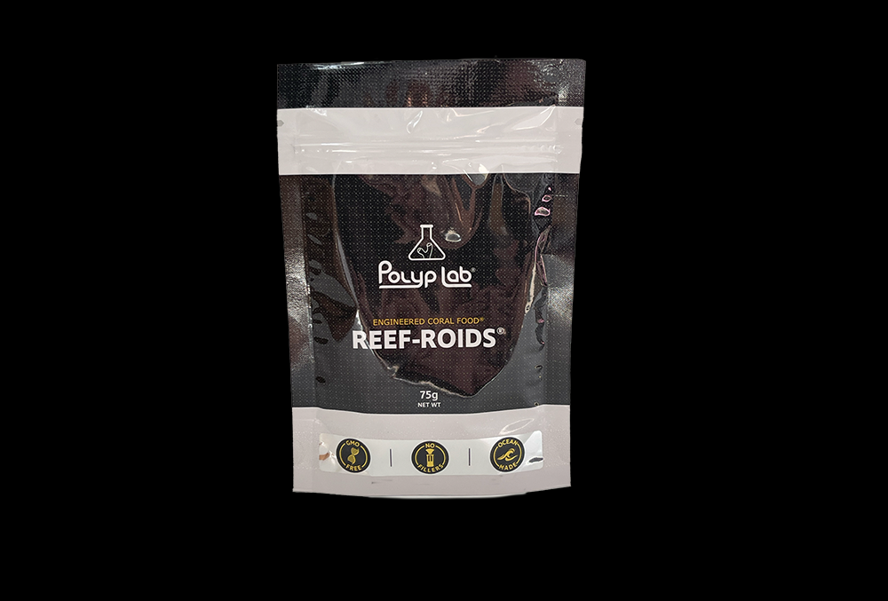 View everything your reef needs with our natural live feeds – Reef Legends