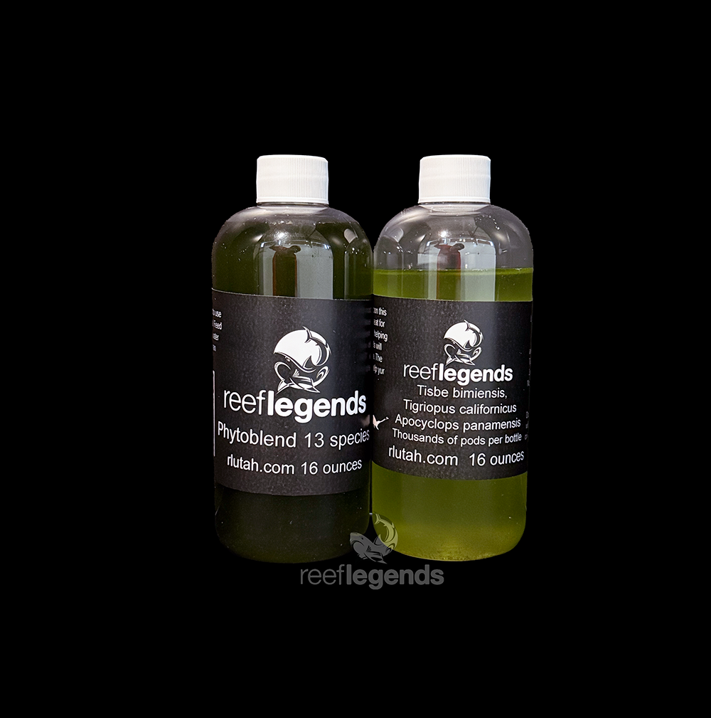13 Species Phytoblend & 3 pods blend