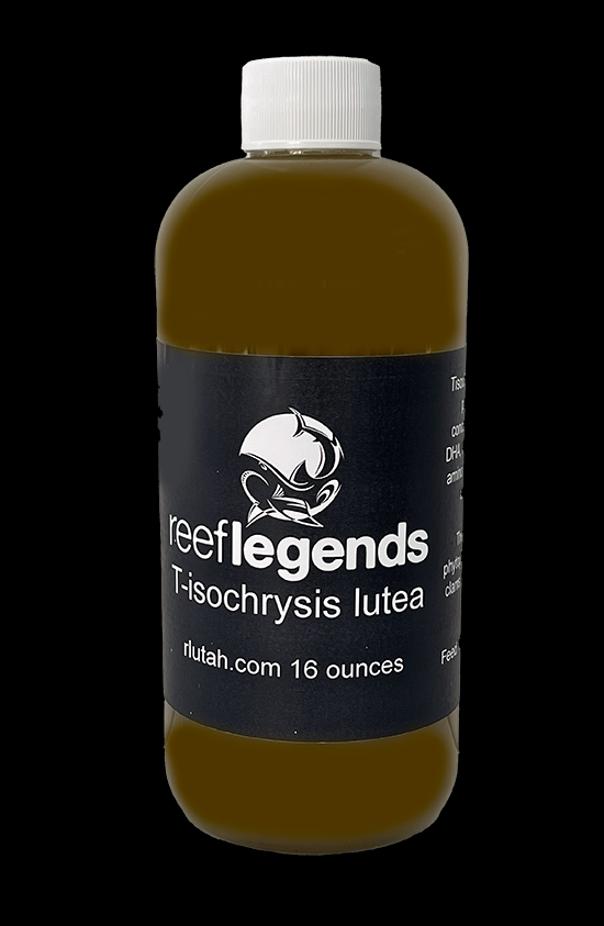 Tisochrysis lutea for culturing