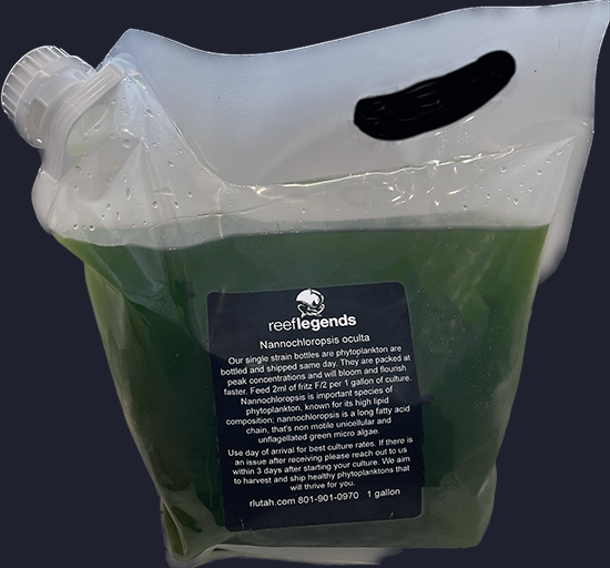 Phytoplankton 1 Gallon bags Shipped USPS Priority