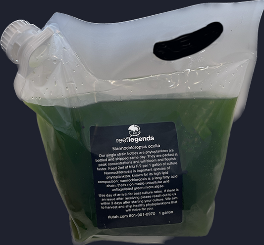 Phytoplankton 1 Gallon bags Shipped USPS Priority